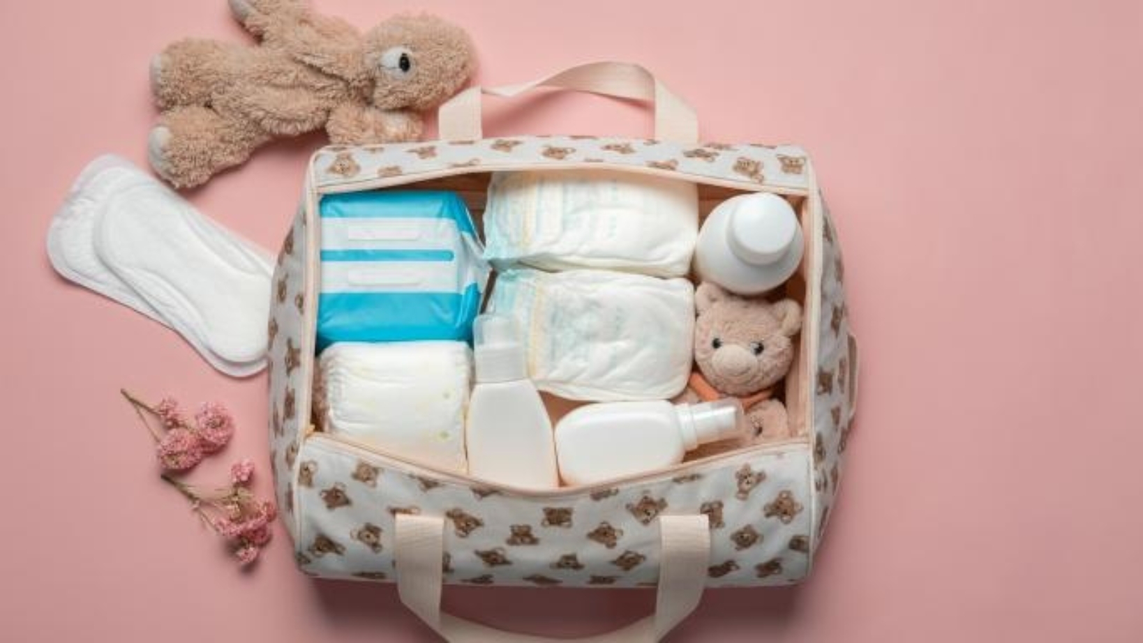 the motherhood bag